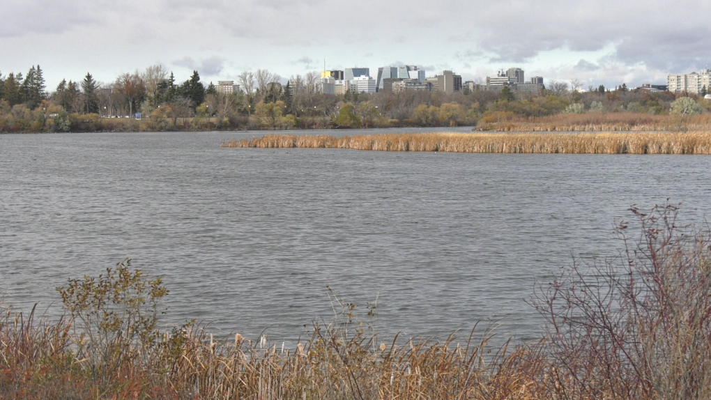 Regina group wants to see protection of wetlands as election issue [Video]