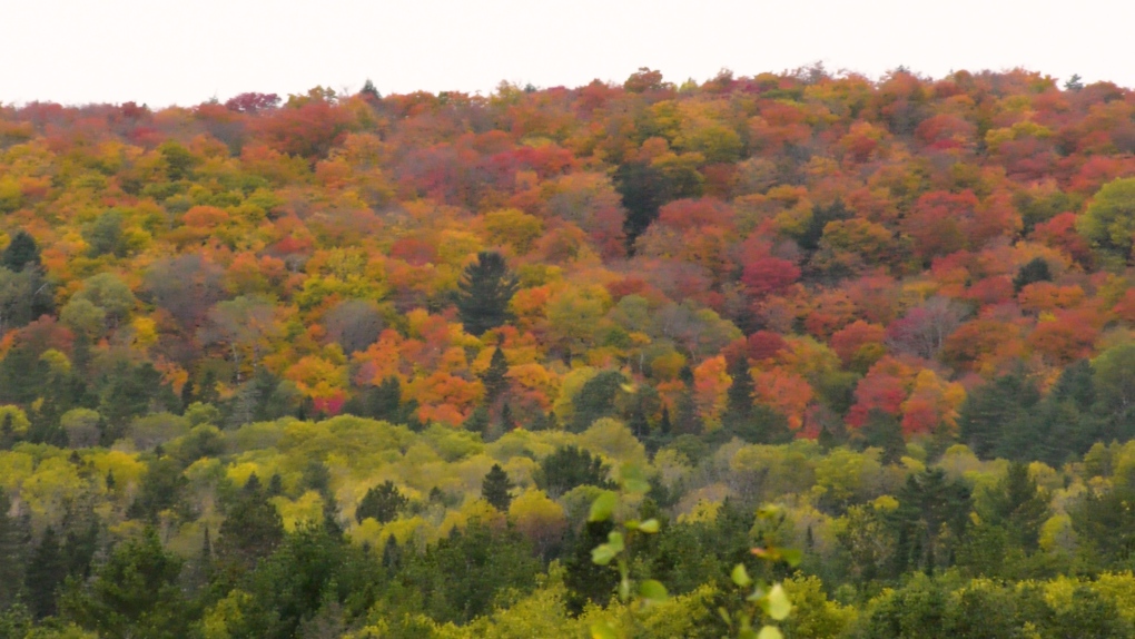 Ottawa weather: Colder than average temperatures in the forecast [Video]