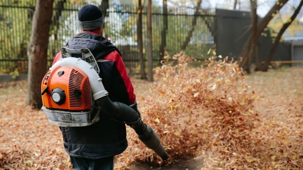 Gas-powered leaf blowers are noisy, polluting and harmful to our health. But are bans the best way to go? [Video]