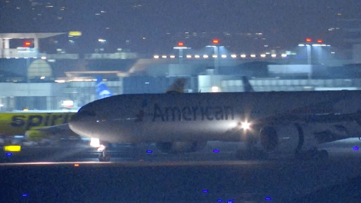 Passengers on horror American Airlines flight say aircraft began ‘dropping in altitude’ before it made dramatic U-turn back to LAX [Video]