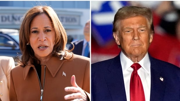 Harris rallies with Michelle Obama, Trump courts Arab vote in all-important Michigan [Video]