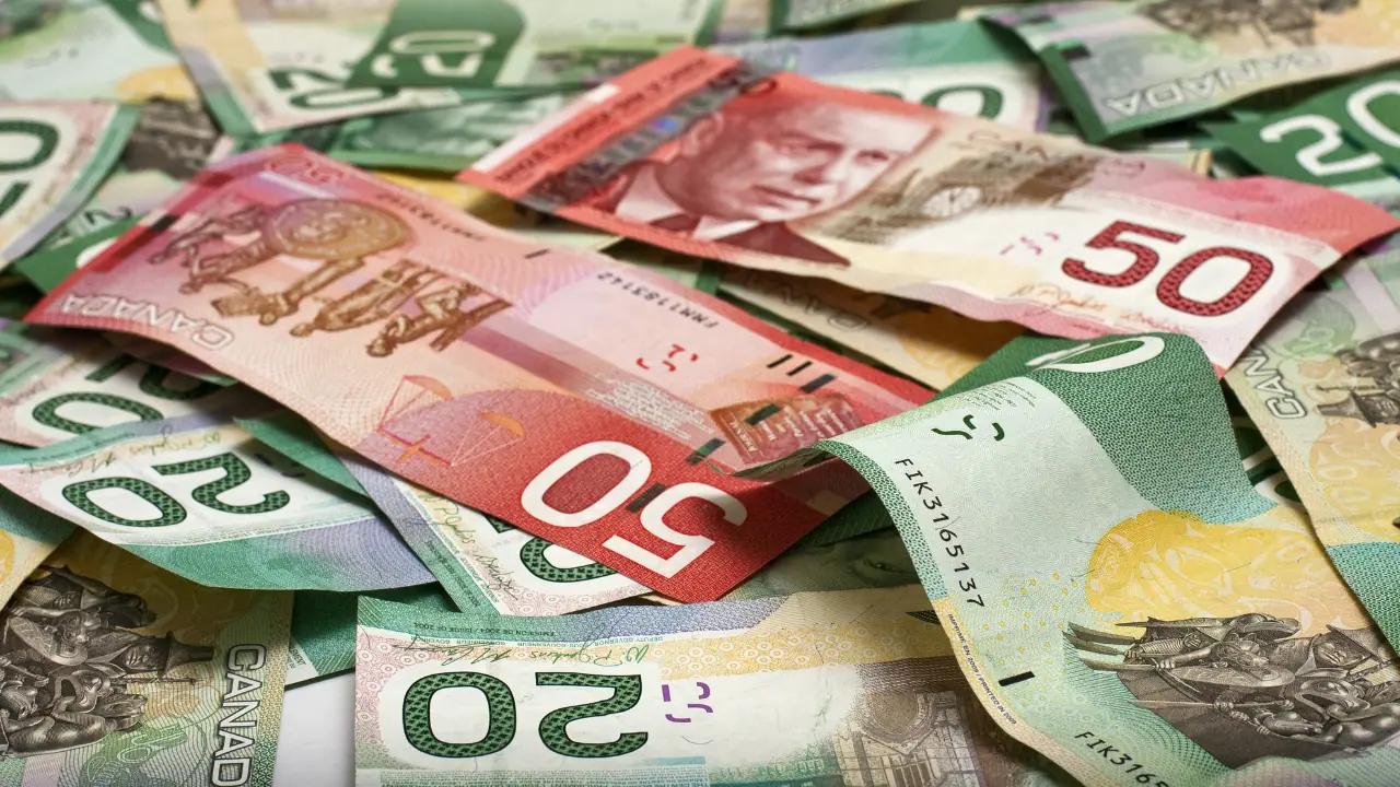 Benefit cheques coming to Canadians in November 2024 [Video]