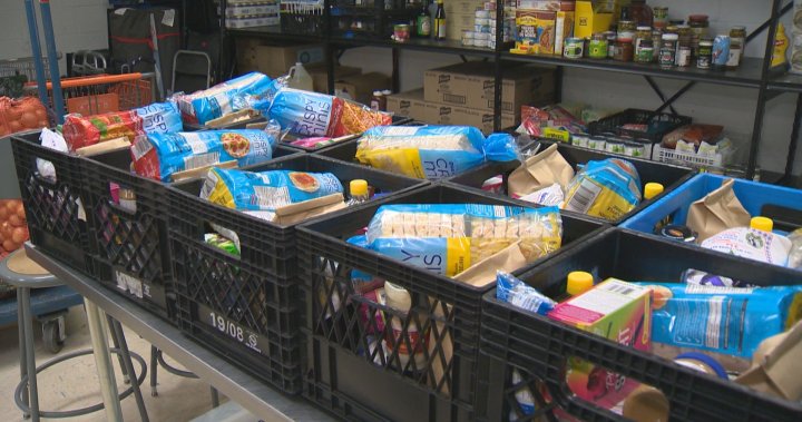 Monthly food bank use in Canada soars to record 2 million: report – National [Video]