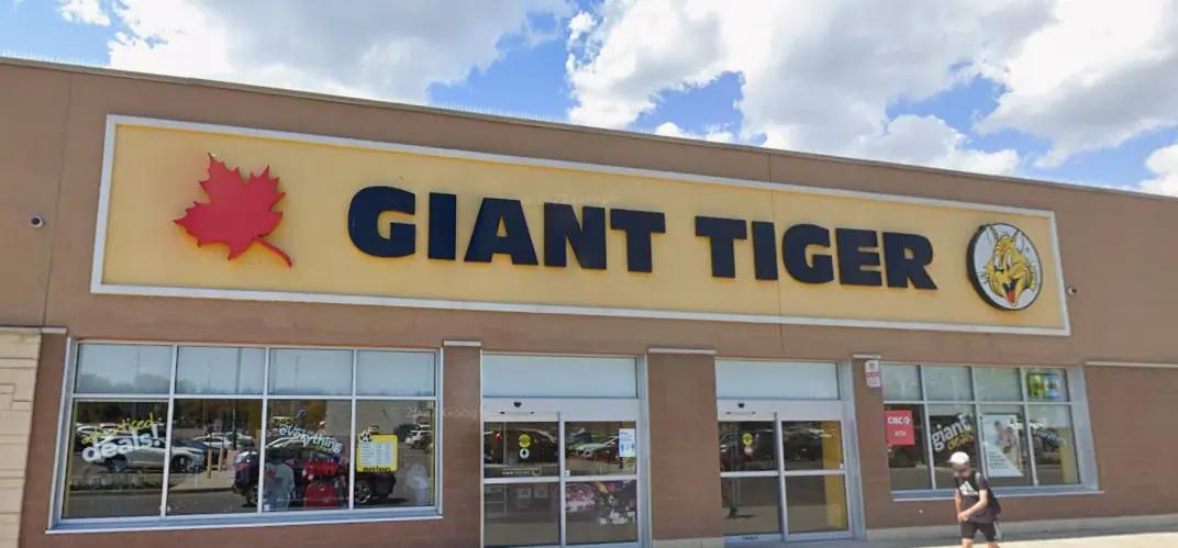 RECALL: Kids shorts sold at Giant Tiger pose lead risk, officials warn [Video]