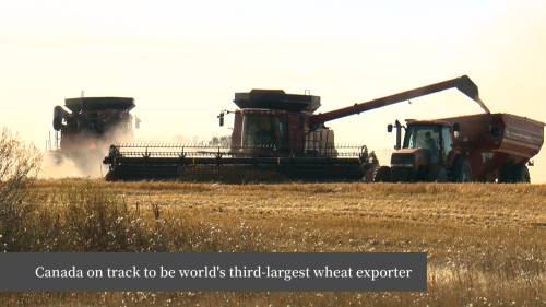 Wheat Kings: Canada on track to be 3rd largest wheat exporter globally for the 2nd year in a row [Video]