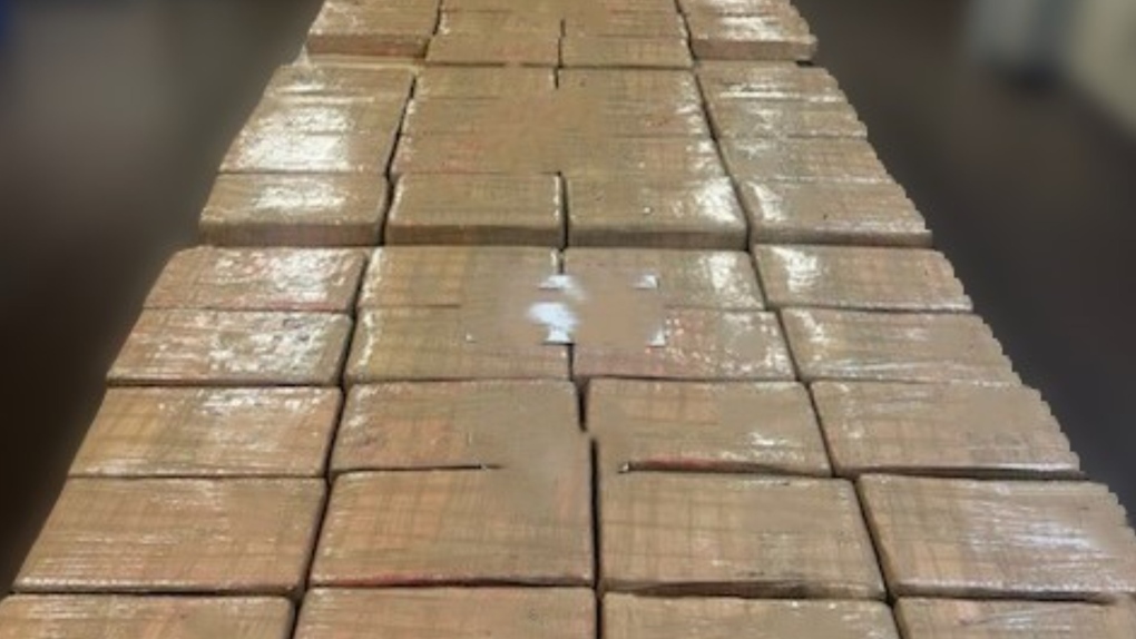 B.C. police seize 73 kilos of cocaine from vehicle near Revelstoke [Video]