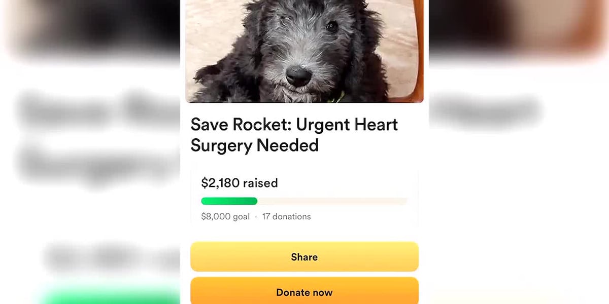 Rapid City family asking for communitys help to Save Rocket [Video]