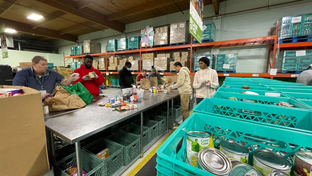 Edmonton’s Food Bank seeing increase in visitors [Video]