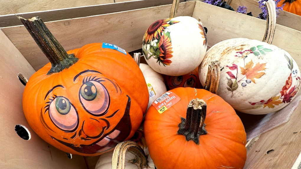 Halloween weather in Maritimes | CTV News [Video]