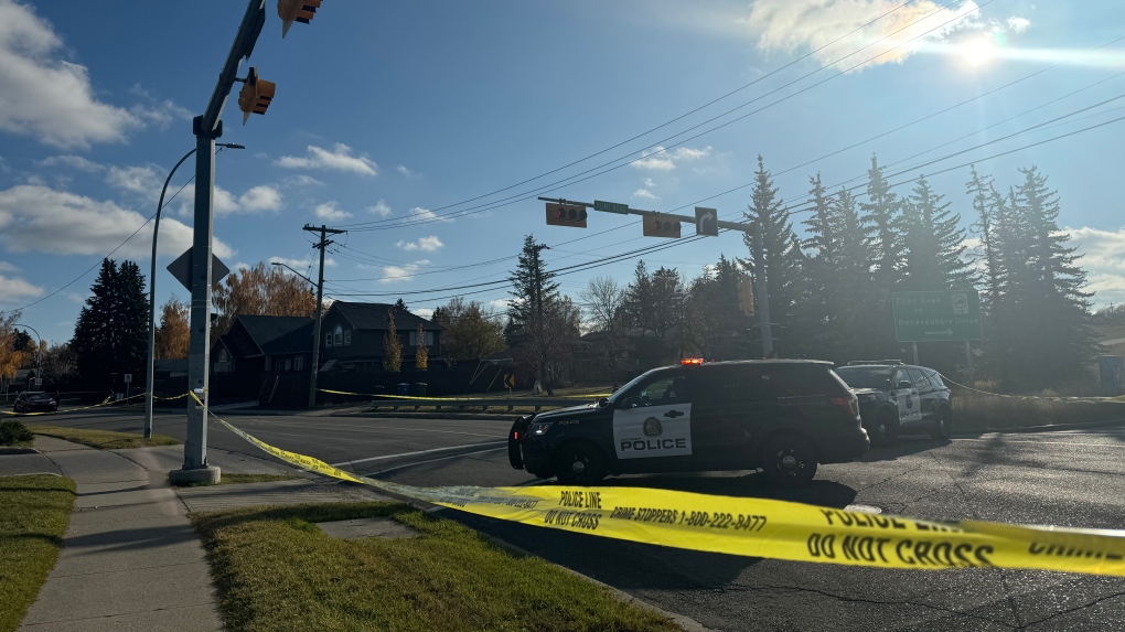 Woman hit by vehicle in Fairview: police [Video]