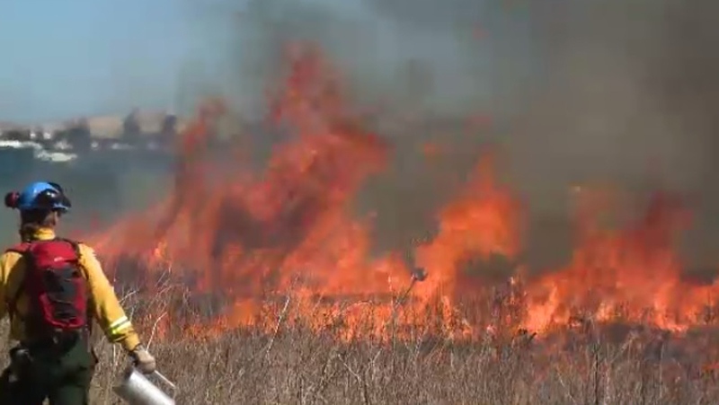 Winnipeg to begin controlled burns [Video]