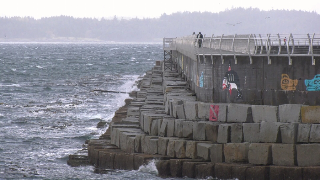 Wind warnings issued for parts of Vancouver Island [Video]