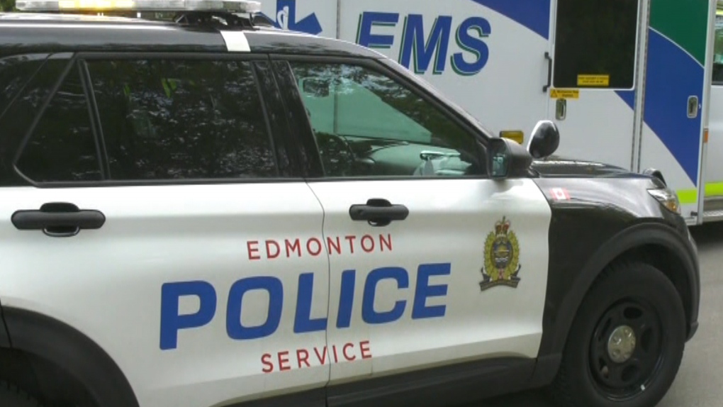 Pedestrian killed in Woodcroft crash: EPS [Video]