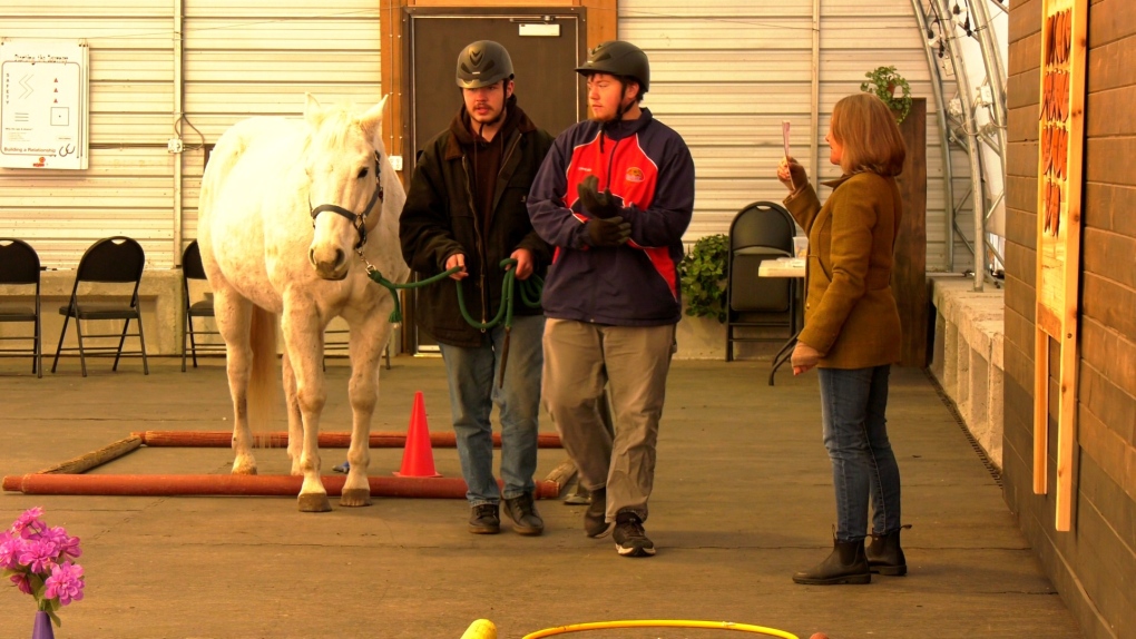 ‘City kids’ and seniors connect with large-hearted horses at Rivercross Ranch [Video]