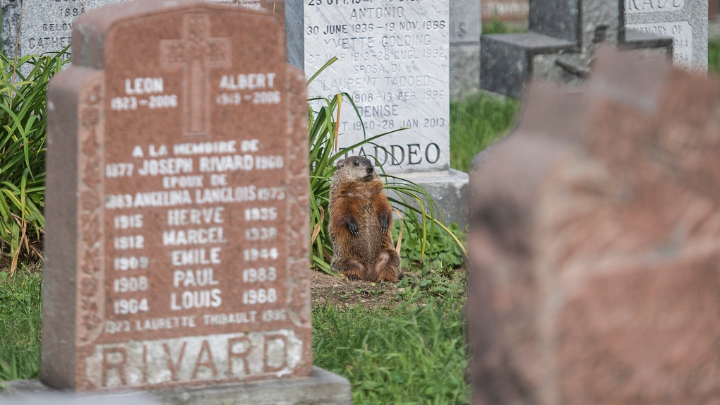 Montreal man files class-action against cemetery after plot contract length changed [Video]