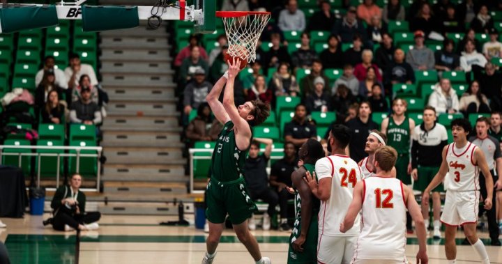 Young stars leading USask Huskies into 2024-25 mens basketball season – Saskatoon [Video]