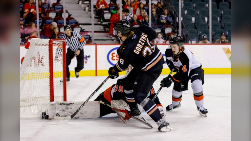 Medicine Hat Tigers defeat Calgary 4-3 in shootout [Video]