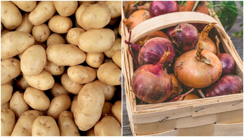 Calgary trick-or-treaters given potatoes and onions [Video]