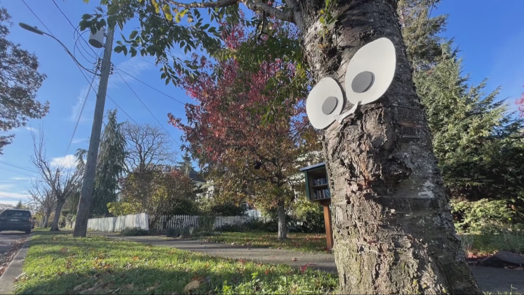 Dozens of large googly eyes mysteriously appear on B.C. street [Video]