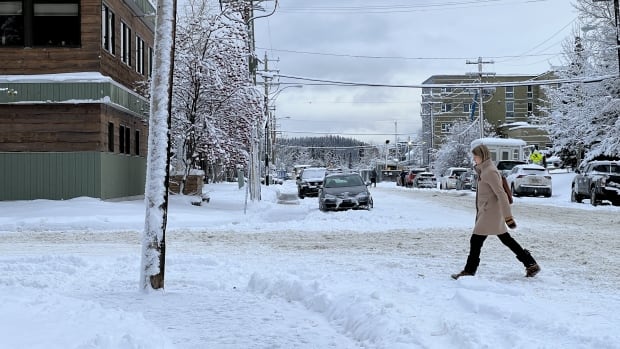 City of Whitehorse asks for proposed class-action over accessibility to be tossed [Video]