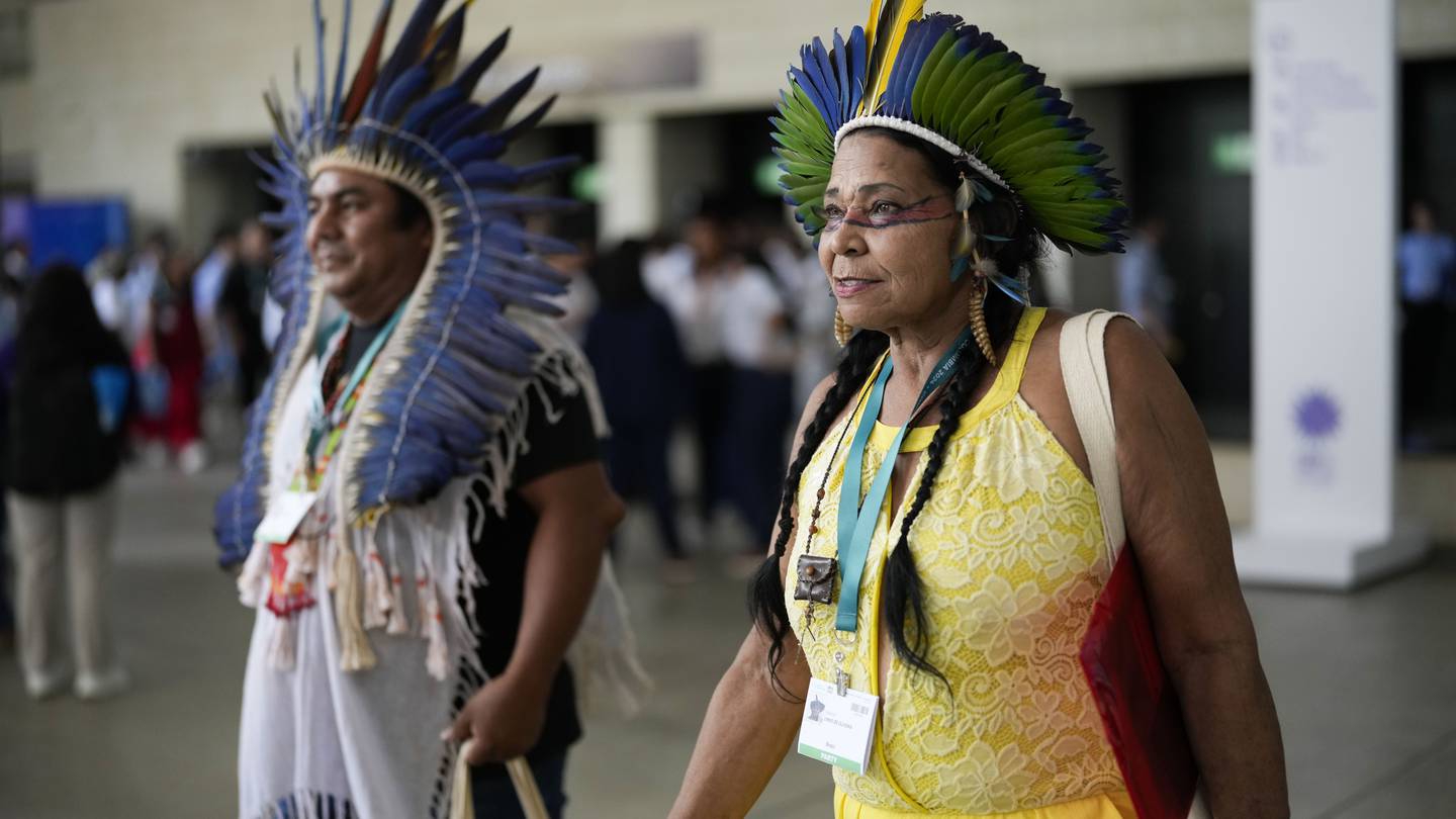 Delegates agree to establish Indigenous subsidiary body at COP16 biodiversity summit in Colombia  WSOC TV [Video]