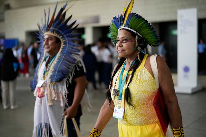 Delegates establish Indigenous subsidiary body and rules for genetic information at COP16 summit [Video]