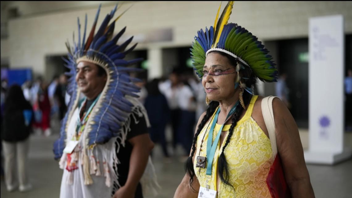 Indigenous groups get voice on nature conversation decisions [Video]