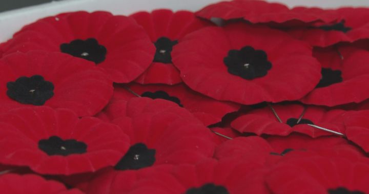 Posters lining downtown Edmonton street honour fallen soldiers ahead of Remembrance Day – Edmonton [Video]