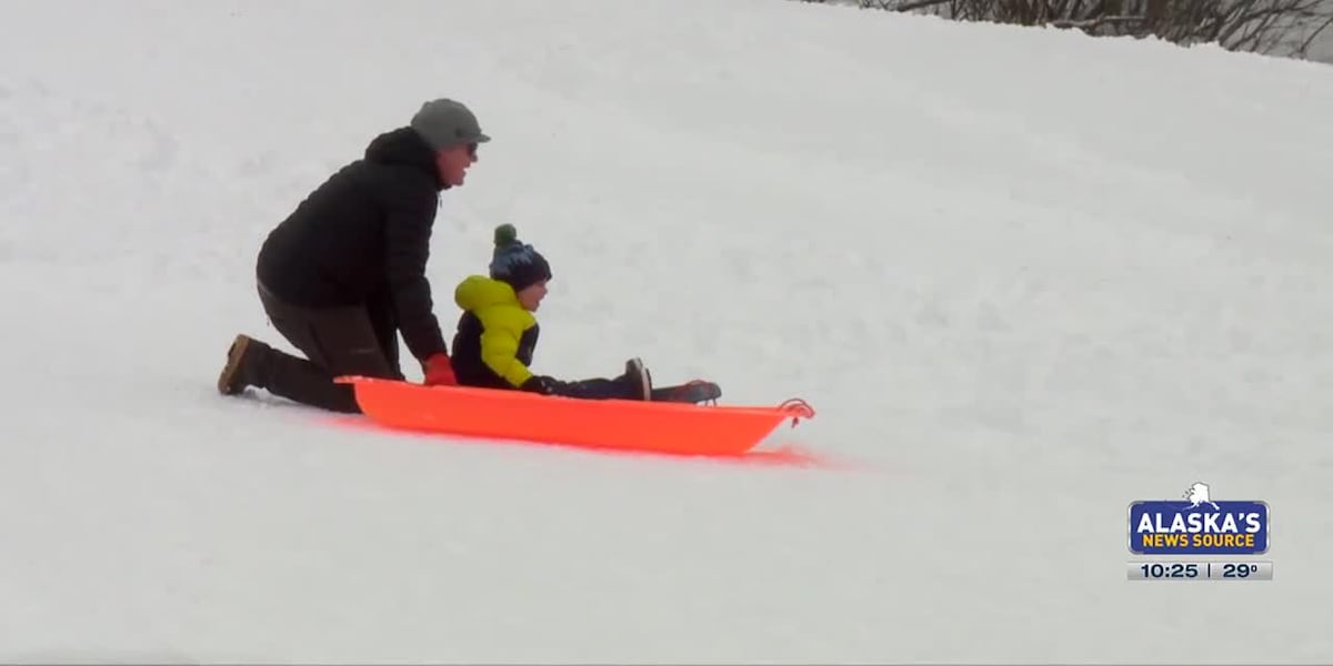 Enjoying the snow [Video]