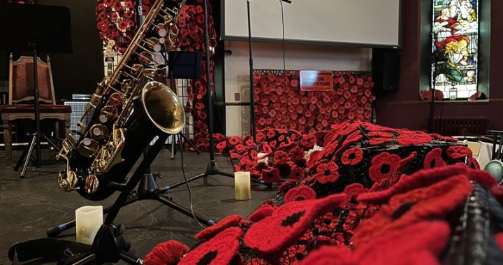 N.S. senior home residents make 10,000 poppies in spirit of remembrance – Halifax [Video]