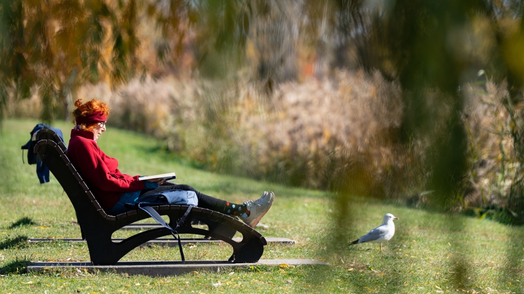 Montreal weather: hot temperatures in store midweek [Video]