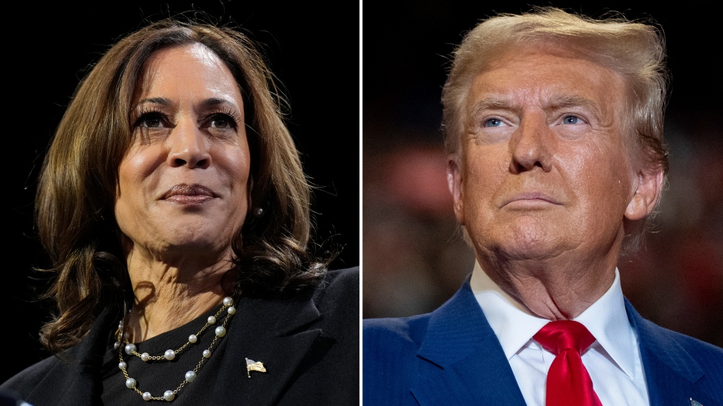 U.S. election: Who would work better with Kamala Harris and Donald Trump? [Video]