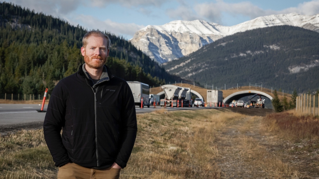 Alberta wildlife corridors reduce animal-car collisions [Video]