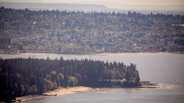 Tree removal closes stretch of Vancouver’s Stanley Park seawall for a month [Video]