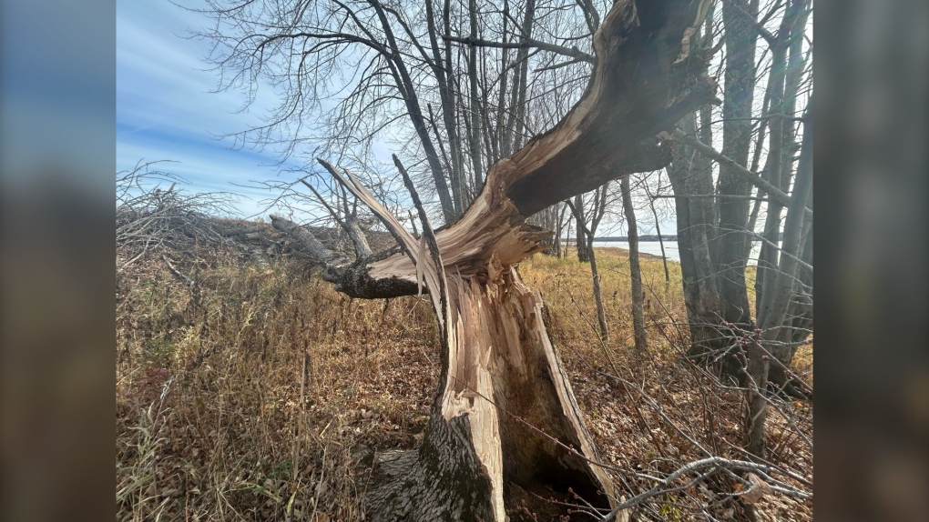 Tornadoes touch down in N.B. Friday [Video]