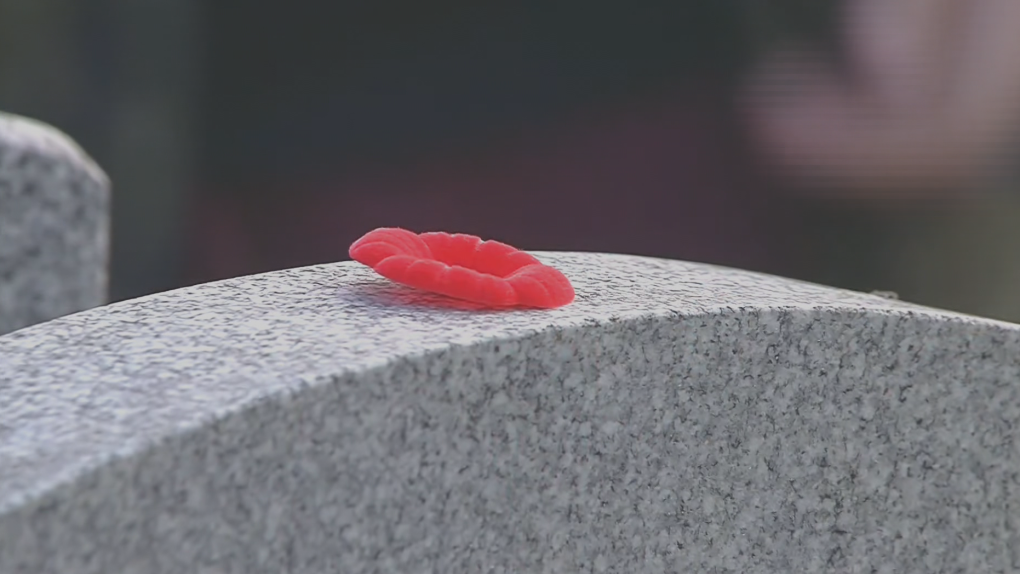 Poppies laid in Beechmont for 2024 NSLA ceremony [Video]