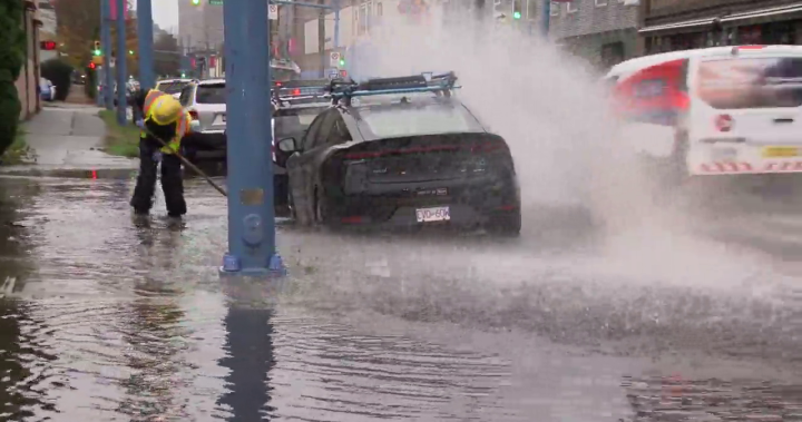 Thousands without power, trees down in B.C. as storm sweeps through on Monday [Video]