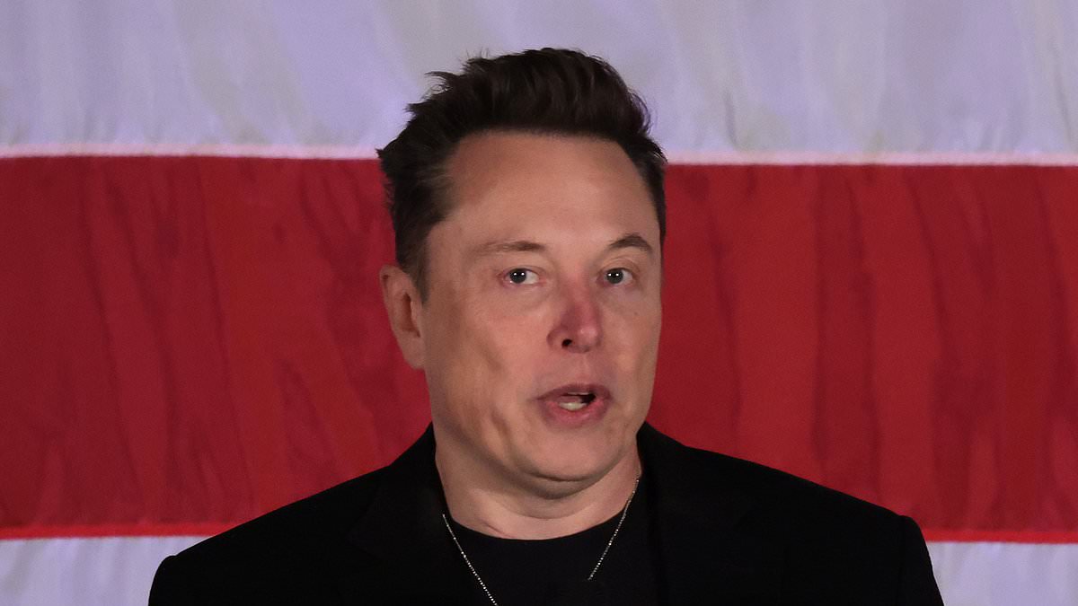 Elon Musk and ex Grimes begin exploring unconventional family arrangement [Video]