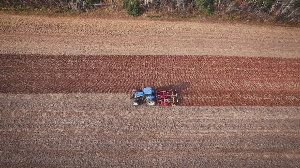 Many P.E.I. potato growers are digging their fields differently, to help the soil and environment [Video]