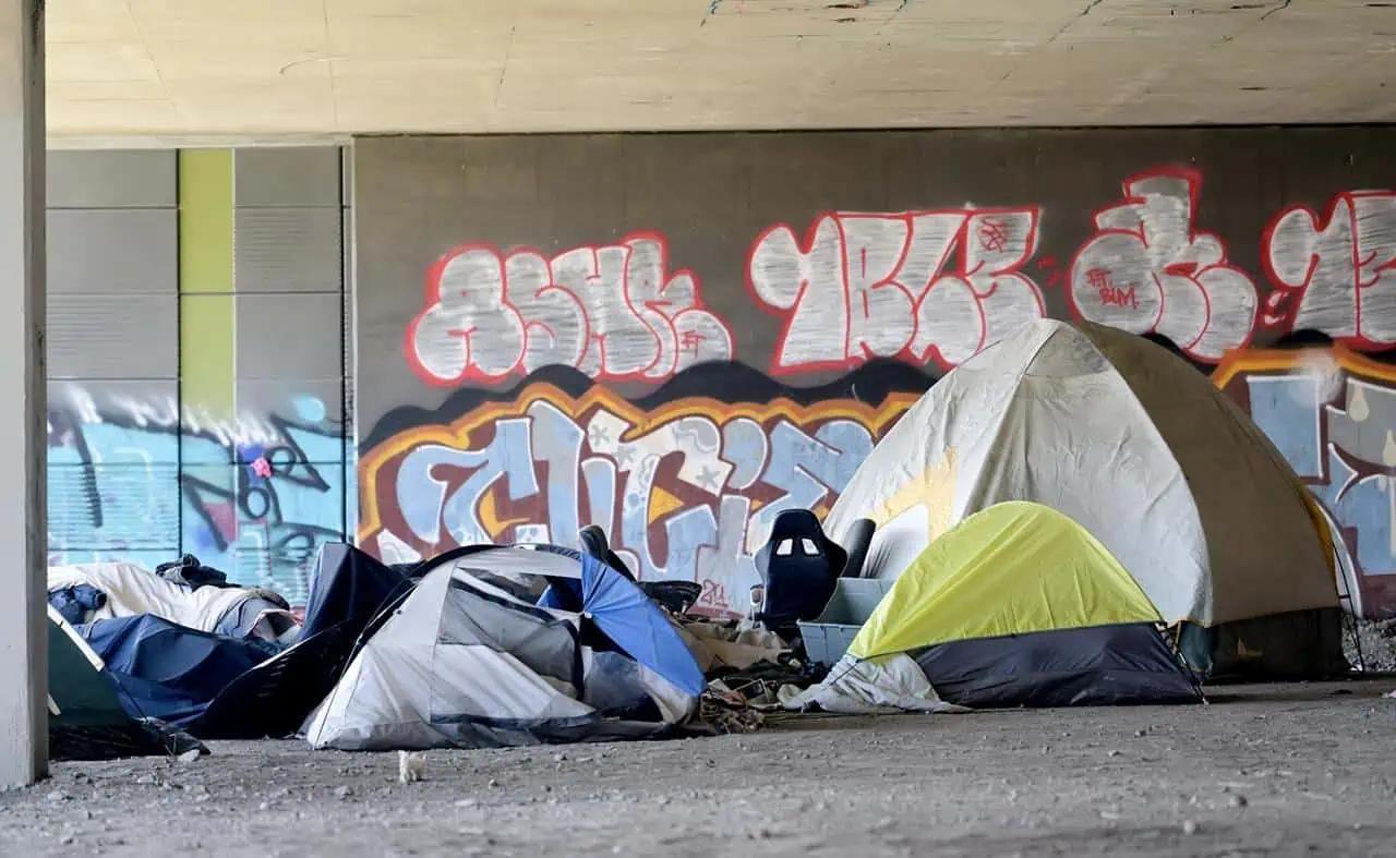 Mayors ask Ford to override charter rights to deal with homeless encampments in Ontario [Video]