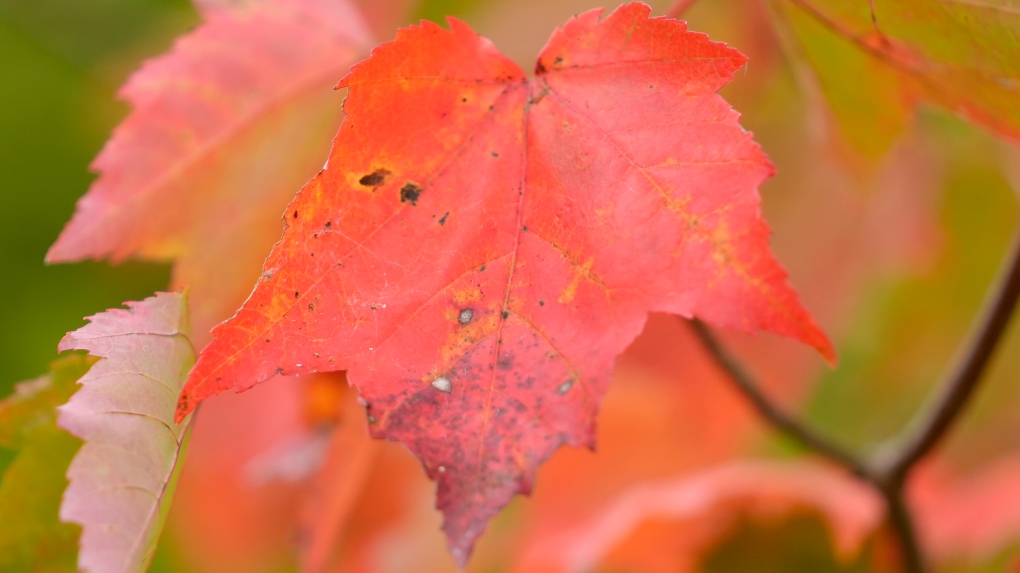 Maritime weather: November temperatures up and down [Video]