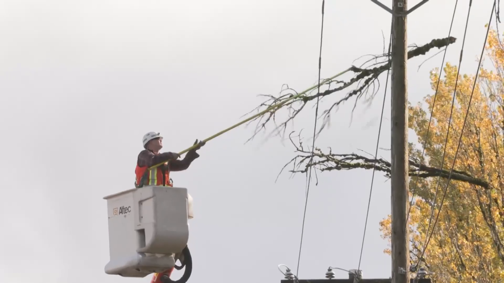 Thousands still without power after B.C. windstorm [Video]