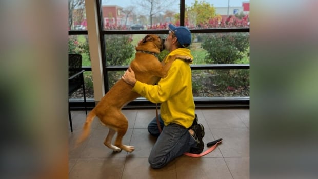 After 2-year cancer battle, Fort Erie, Ont., man reunites with dog he never thought he’d see again [Video]