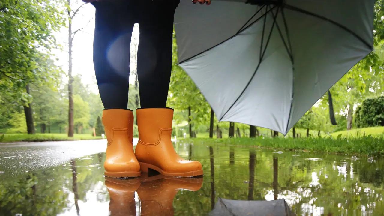 Nov. 6 weather: Early morning showers and high winds in southern Ontario [Video]