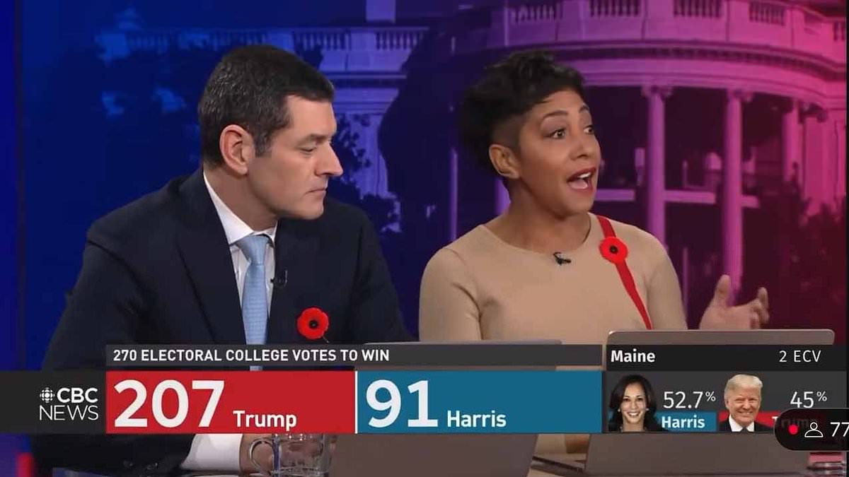 Taxpayer-funded Canadian TV station airs shocking anti-Trump slur [Video]