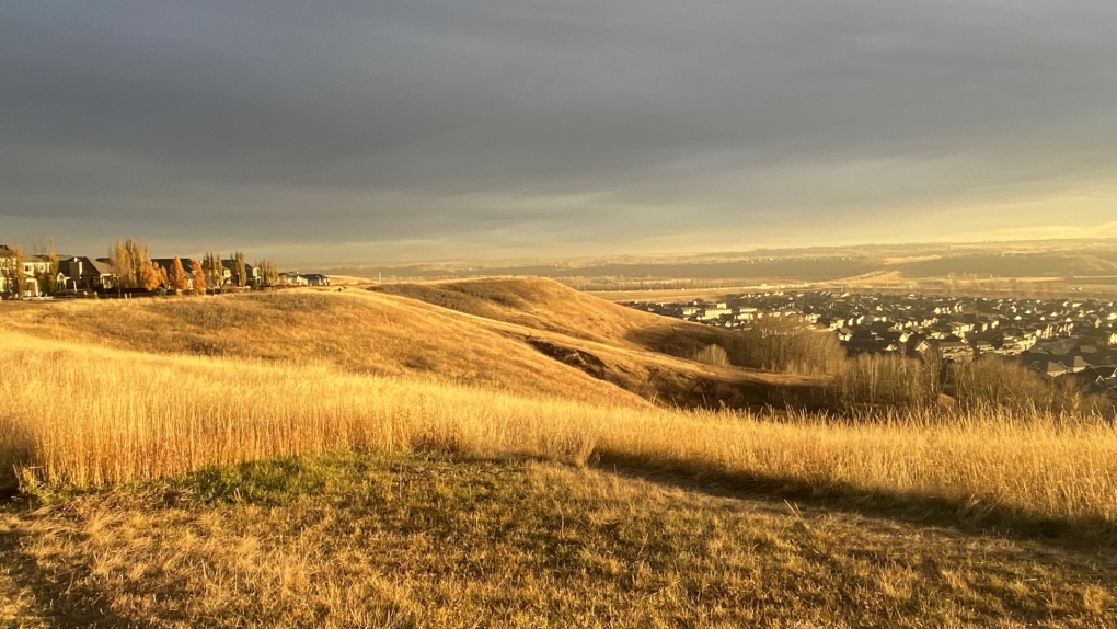 Calgary weather: Temperatures will climb, but not on Wednesday [Video]