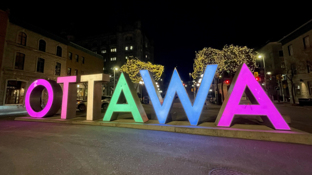 Ottawa night council: What members hope to achieve [Video]