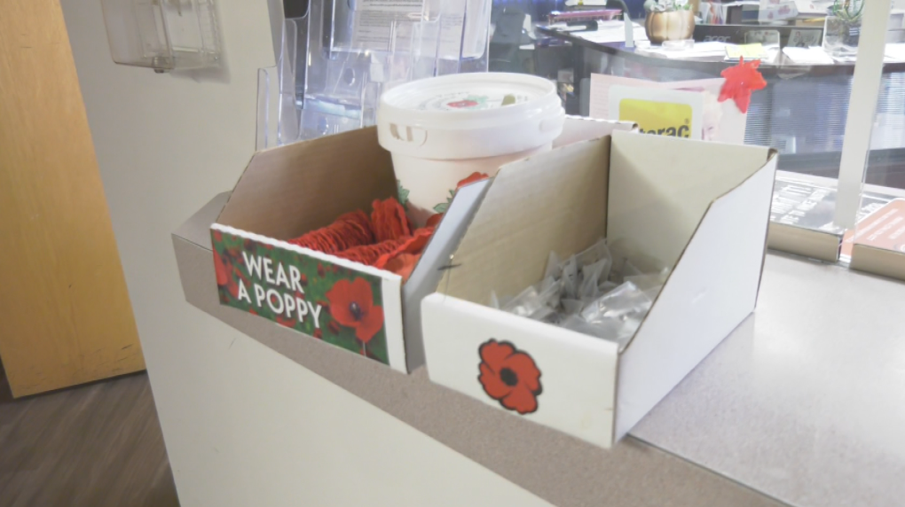 Poppy boxes stolen in Edmonton ahead of holiday [Video]