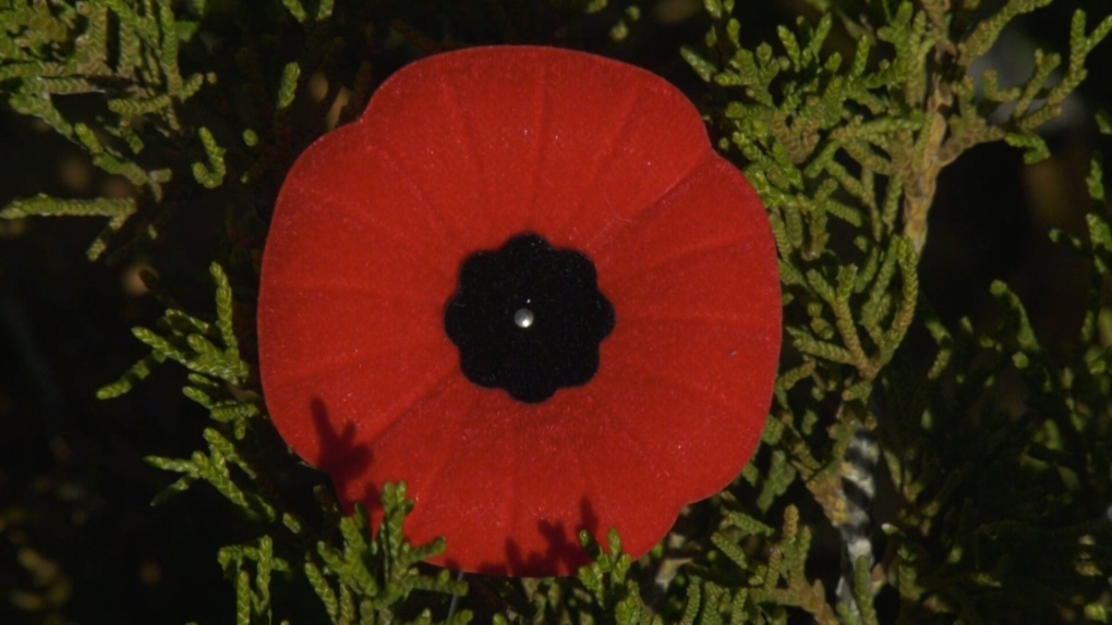 Remembrance Day ceremonies around Manitoba [Video]