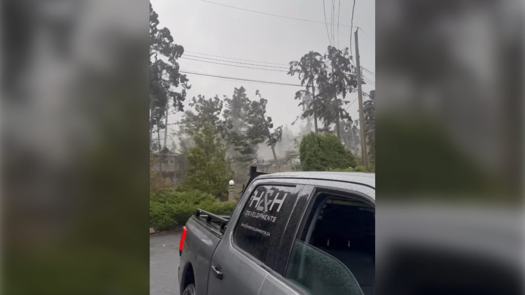 Weak tornado downed trees on B.C.s Sunshine Coast this week [Video]